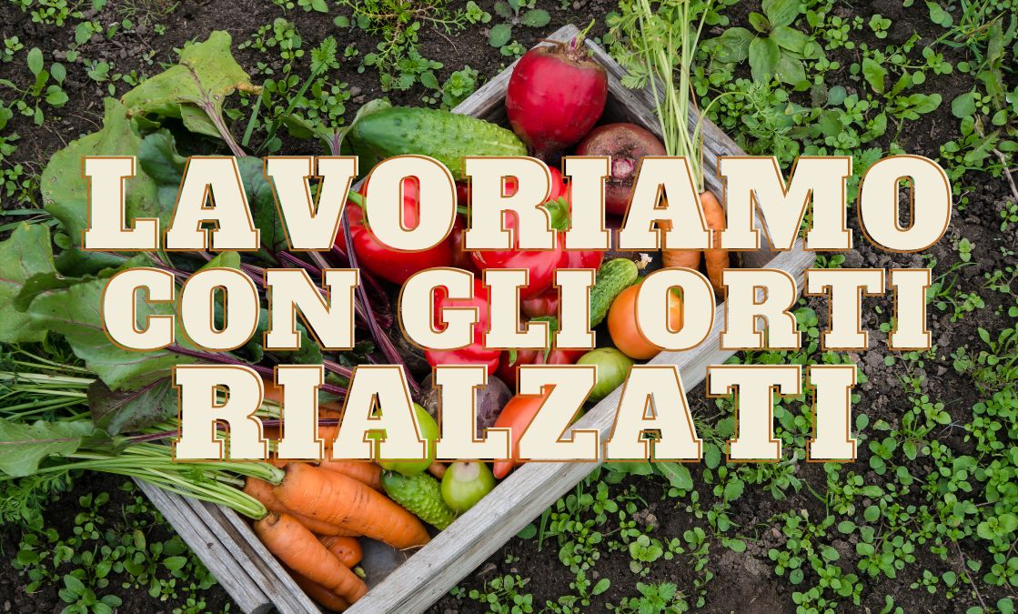 Lavoriamo con gli orti rialzati alla Reggia dei Carraresi